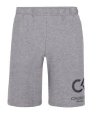 šortky knit | regular fit Calvin Klein Performance 	sivá	