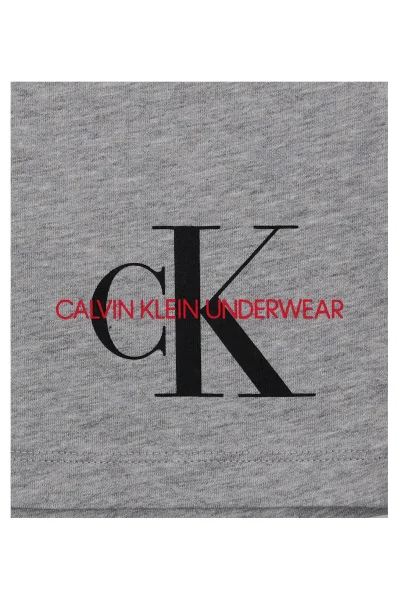 Longsleeve | Regular Fit Calvin Klein Underwear 	sivá	