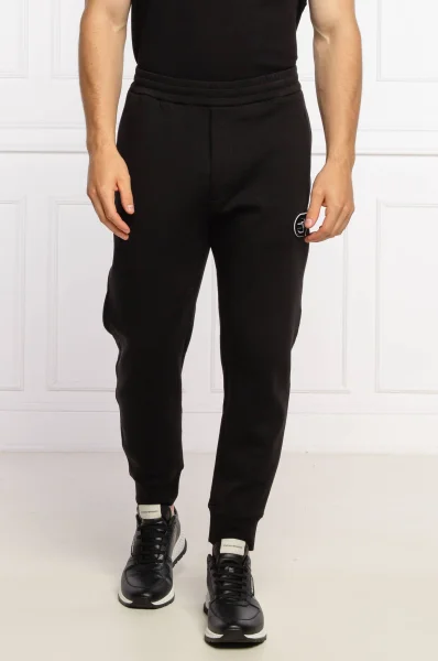 Teplákové nohavice | Regular Fit Emporio Armani 	čierna	