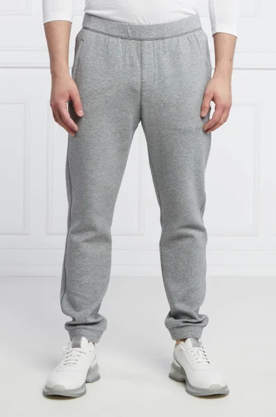 Teplákové nohavice | Regular Fit Emporio Armani 	sivá	