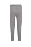 teplákové nohavice | regular fit Emporio Armani 	sivá	