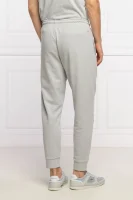 Teplákové nohavice | Regular Fit Calvin Klein Performance 	sivá	