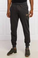 Teplákové nohavice | Regular Fit EA7 	sivá	