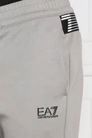 Teplákové nohavice | Regular Fit EA7 	sivá	