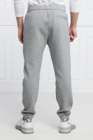 Teplákové nohavice | Regular Fit Emporio Armani 	sivá	