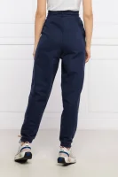 Teplákové nohavice | Relaxed fit Tommy Jeans 	tmavomodrá	