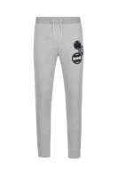 Teplákové nohavice | Regular Fit Armani Exchange 	šedá	