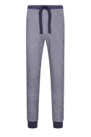 nohavice tepláková súpravaowe | regular fit Emporio Armani 	sivá	